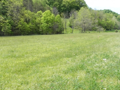 Absolute Auction-Live On-Site-Acreage in Cumberland County - image 29