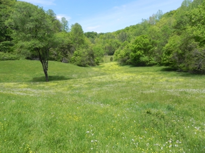 Absolute Auction-Live On-Site-Acreage in Cumberland County - image 34