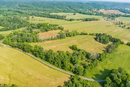 Absolute Auction-Live On-Site-Acreage in Cumberland County - image 7