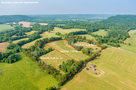 Absolute Auction-Live On-Site-Acreage in Cumberland County - image 11