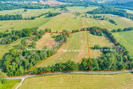 Absolute Auction-Live On-Site-Acreage in Cumberland County - image 5