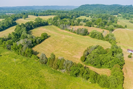 Absolute Auction-Live On-Site-Acreage in Cumberland County - image 13