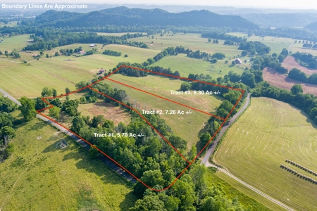 Absolute Auction-Live On-Site-Acreage in Cumberland County - image 8