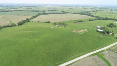 Tract 1 of 4 – 143.5+/- Acres 240th St.Mahogany Rd. - image 29