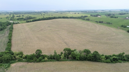 Tract 1 of 4 – 143.5+/- Acres 240th St.Mahogany Rd. - image 27