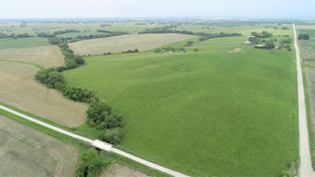 Tract 1 of 4 – 143.5+/- Acres 240th St.Mahogany Rd. - image 4