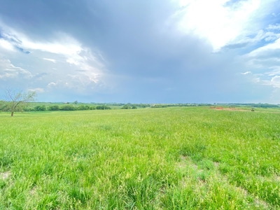 Tract 1 of 4 – 143.5+/- Acres 240th St.Mahogany Rd. - image 24