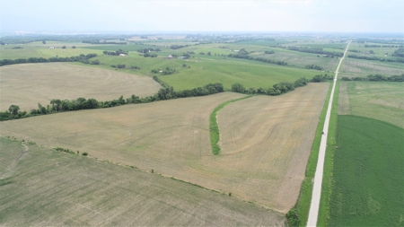 Tract 1 of 4 – 143.5+/- Acres 240th St.Mahogany Rd. - image 2