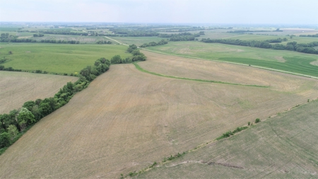 Tract 1 of 4 – 143.5+/- Acres 240th St.Mahogany Rd. - image 26