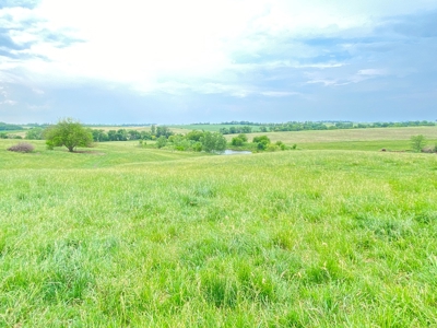 Tract 1 of 4 – 143.5+/- Acres 240th St.Mahogany Rd. - image 11