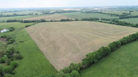 Tract 1 of 4 – 143.5+/- Acres 240th St.Mahogany Rd. - image 30