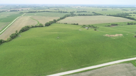 Tract 1 of 4 – 143.5+/- Acres 240th St.Mahogany Rd. - image 7