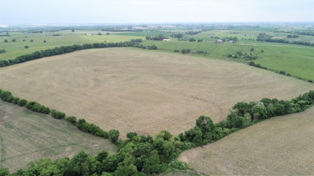 Tract 1 of 4 – 143.5+/- Acres 240th St.Mahogany Rd. - image 25