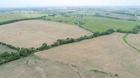 Tract 1 of 4 – 143.5+/- Acres 240th St.Mahogany Rd. - image 3