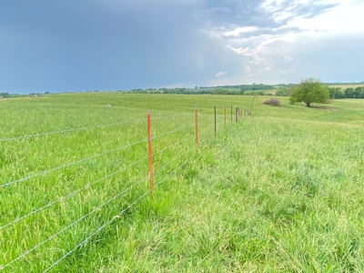 Tract 1 of 4 – 143.5+/- Acres 240th St.Mahogany Rd. - image 9