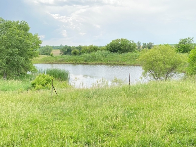 Tract 1 of 4 – 143.5+/- Acres 240th St.Mahogany Rd. - image 10
