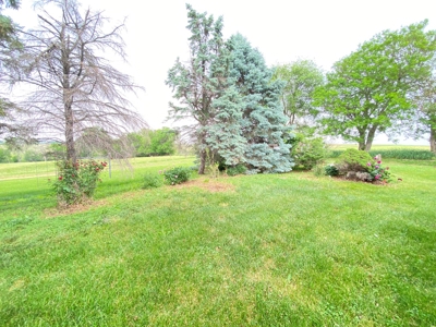 Tract 2 of 4 – House & 6.5+/- Acres, 34497 240th St - image 21