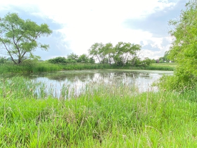 Tract 2 of 4 – House & 6.5+/- Acres, 34497 240th St - image 6