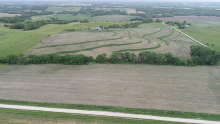 Tract 3 of 4 – 78+/- Acres, North Side of Neon Rd. - image 6