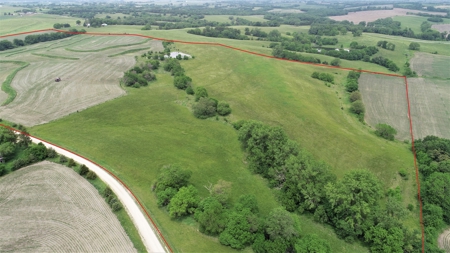 Tract 3 of 4 – 78+/- Acres, North Side of Neon Rd. - image 21