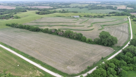 Tract 3 of 4 – 78+/- Acres, North Side of Neon Rd. - image 4