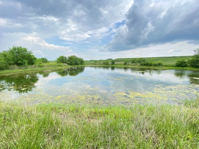 Tract 3 of 4 – 78+/- Acres, North Side of Neon Rd. - image 14