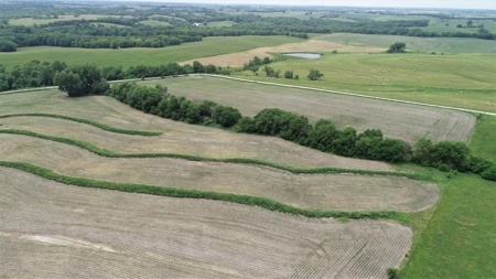 Tract 3 of 4 – 78+/- Acres, North Side of Neon Rd. - image 27