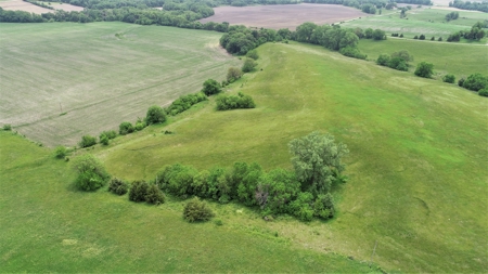 Tract 3 of 4 – 78+/- Acres, North Side of Neon Rd. - image 29