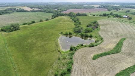 Tract 3 of 4 – 78+/- Acres, North Side of Neon Rd. - image 28