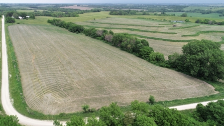 Tract 3 of 4 – 78+/- Acres, North Side of Neon Rd. - image 7