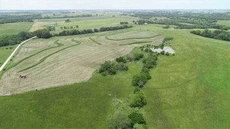 Tract 3 of 4 – 78+/- Acres, North Side of Neon Rd. - image 23