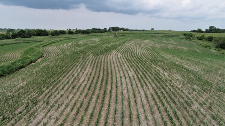 Tract 3 of 4 – 78+/- Acres, North Side of Neon Rd. - image 30