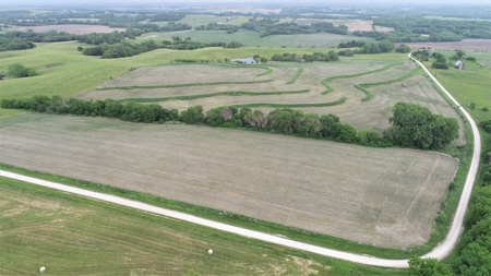 Tract 3 of 4 – 78+/- Acres, North Side of Neon Rd. - image 5