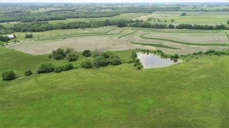 Tract 3 of 4 – 78+/- Acres, North Side of Neon Rd. - image 24