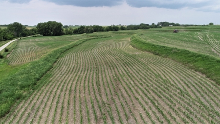 Tract 3 of 4 – 78+/- Acres, North Side of Neon Rd. - image 31