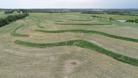 Tract 3 of 4 – 78+/- Acres, North Side of Neon Rd. - image 2