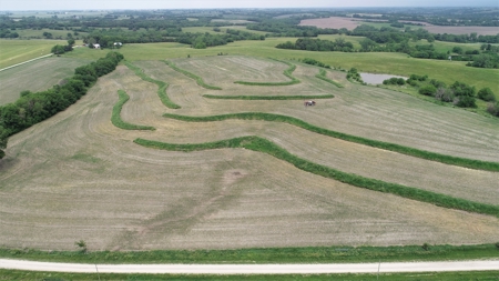 Tract 3 of 4 – 78+/- Acres, North Side of Neon Rd. - image 18