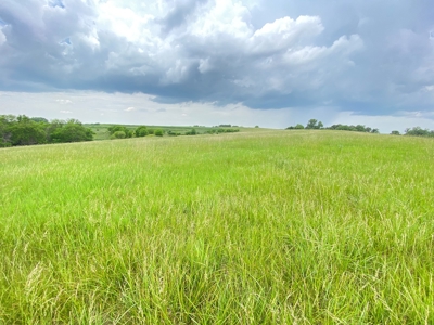 Tract 3 of 4 – 78+/- Acres, North Side of Neon Rd. - image 16