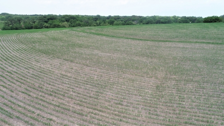 Tract 4 of 4 – 35+/- Acres, South Side of Neon Rd. - image 10