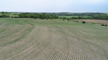 Tract 4 of 4 – 35+/- Acres, South Side of Neon Rd. - image 9