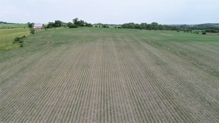 Tract 4 of 4 – 35+/- Acres, South Side of Neon Rd. - image 8