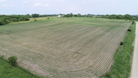 Tract 4 of 4 – 35+/- Acres, South Side of Neon Rd. - image 6