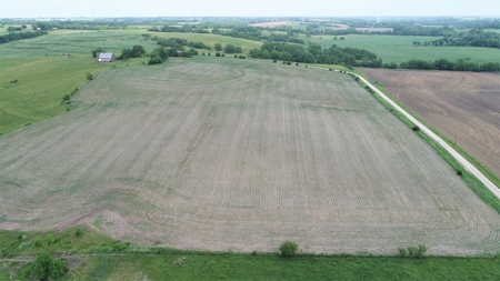 Tract 4 of 4 – 35+/- Acres, South Side of Neon Rd. - image 3