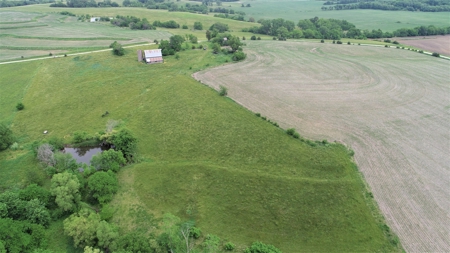 Tract 4 of 4 – 35+/- Acres, South Side of Neon Rd. - image 5