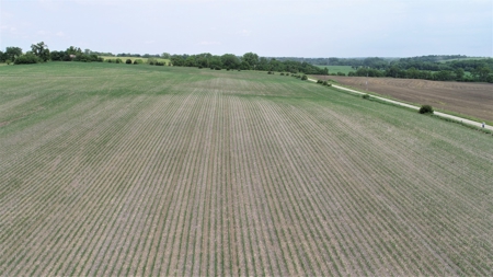 Tract 4 of 4 – 35+/- Acres, South Side of Neon Rd. - image 7