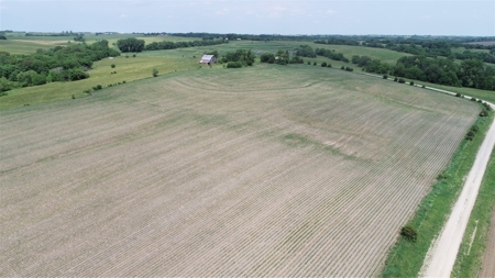 Tract 4 of 4 – 35+/- Acres, South Side of Neon Rd. - image 23