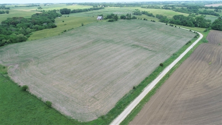 Tract 4 of 4 – 35+/- Acres, South Side of Neon Rd. - image 2