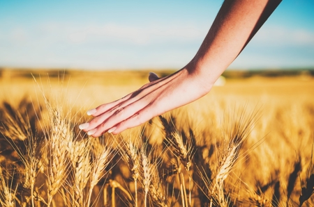 Alfalfa County OK Land Auction - image 1