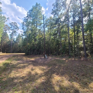 Land Auction 3.75 Acres Menard Creek Acres NO RESERVE - image 9
