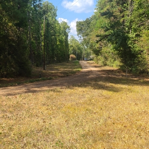 Land Auction 3.75 Acres Menard Creek Acres NO RESERVE - image 5